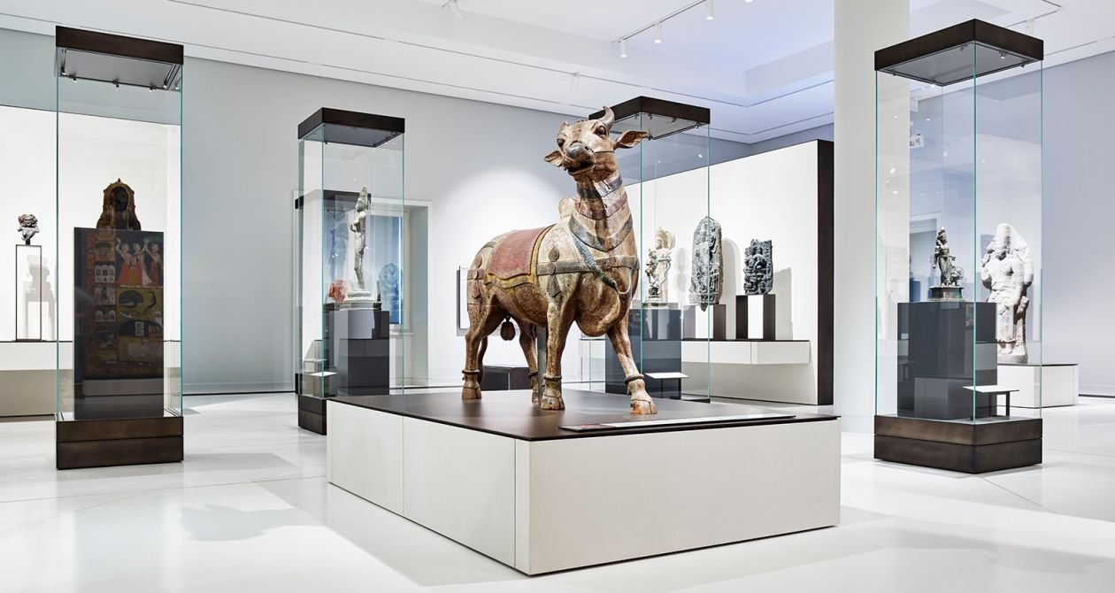 museum showcase