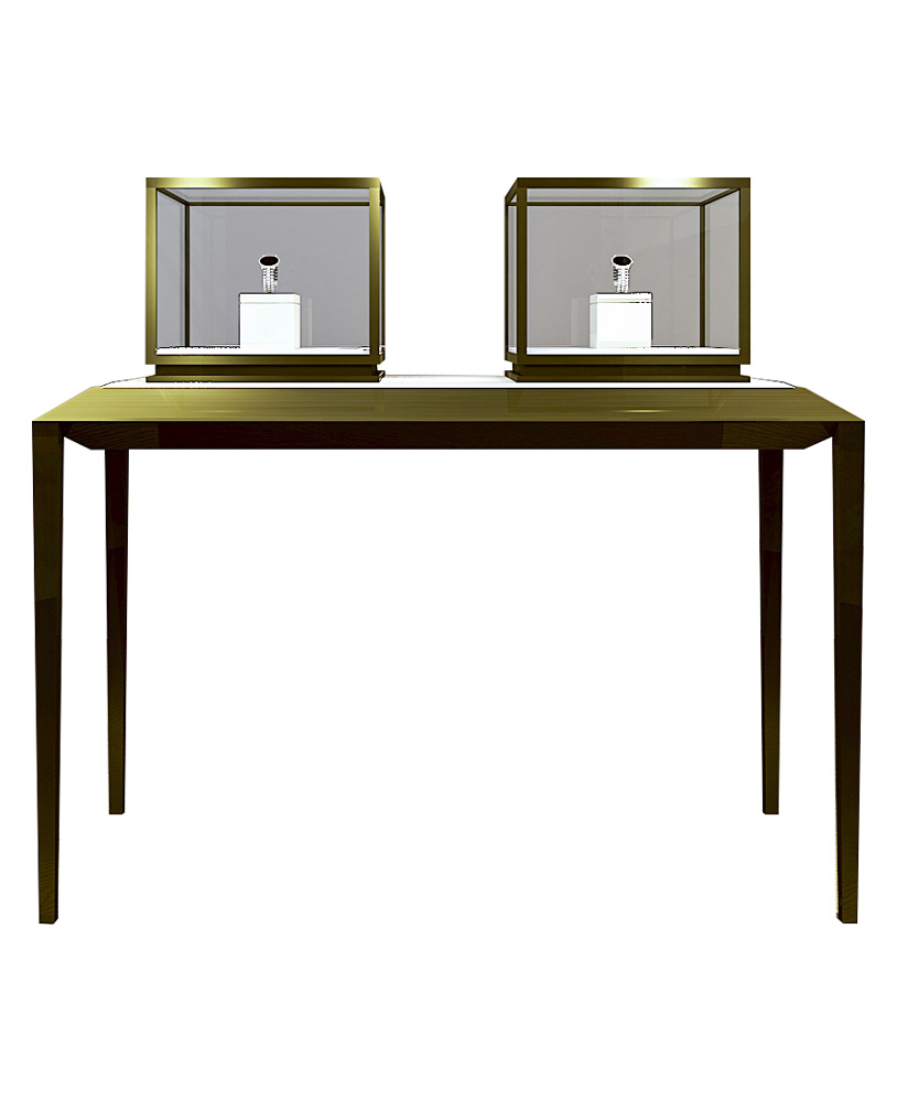 Museum display case