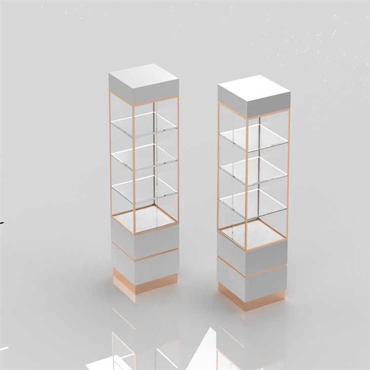 Glass display cabinet2 (3) Glass display cabinet