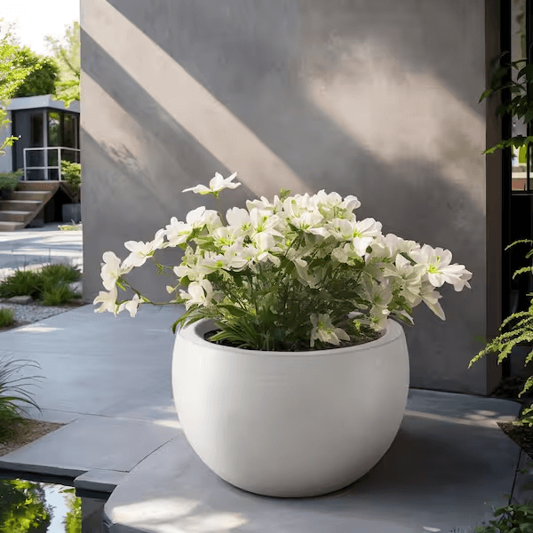 Outdoor Fiberglass Planter