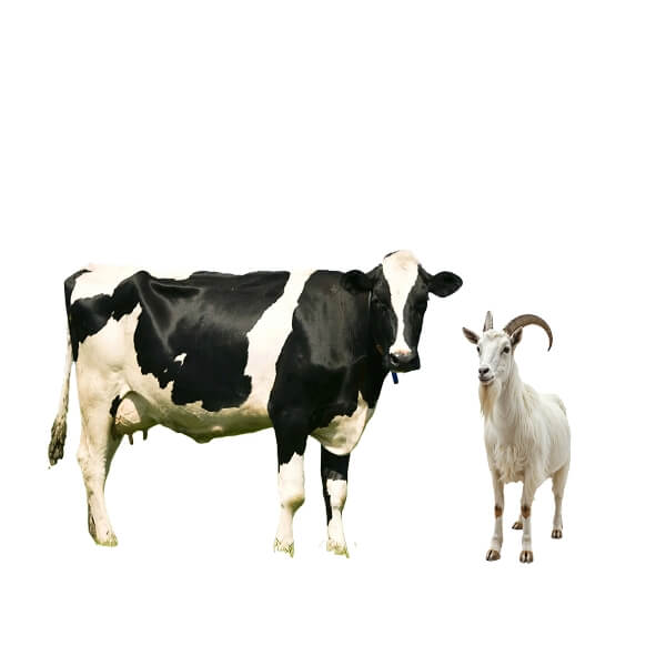 farm animal statues