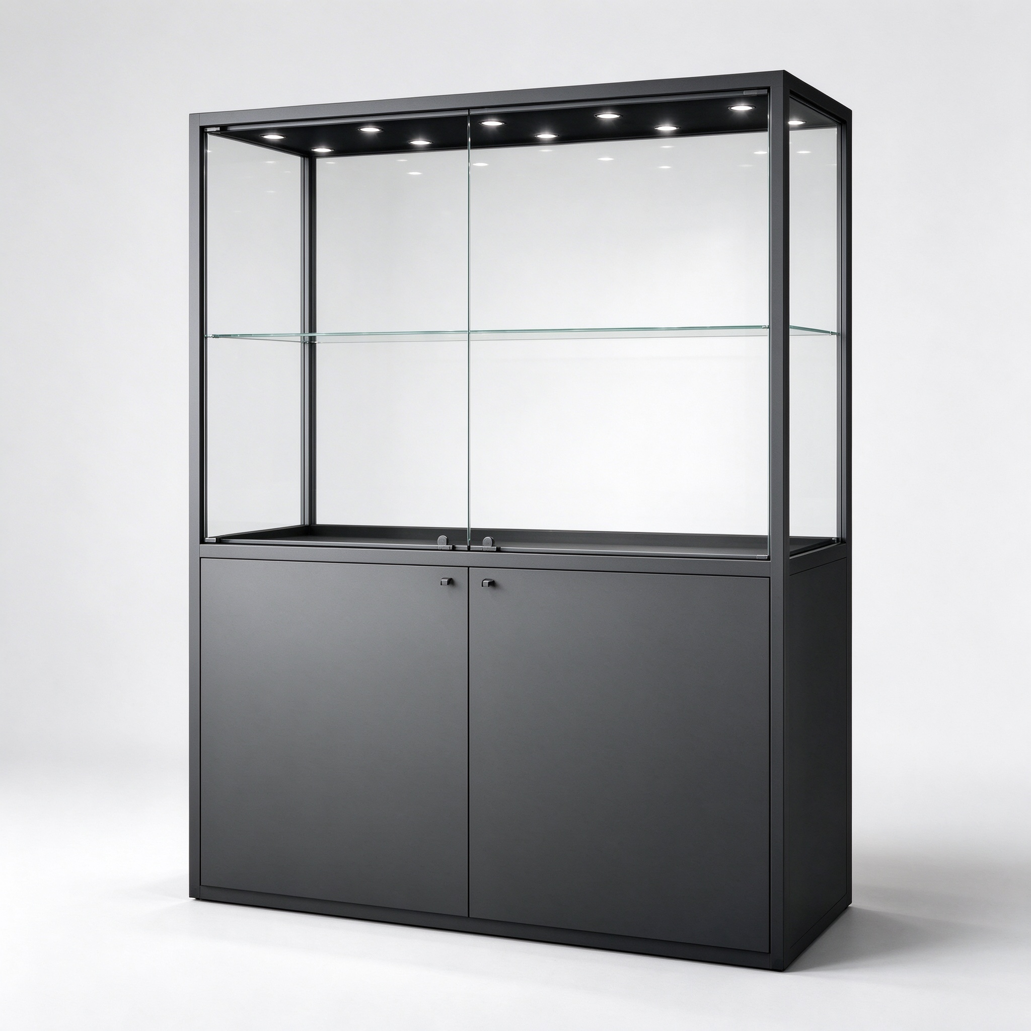 Black metal glass display showcase left 45 degree view