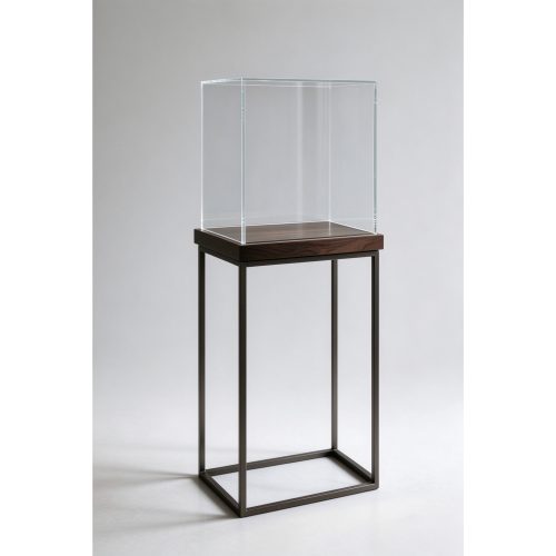 Jewelry display case with glass cube enclosure left 45 degree view