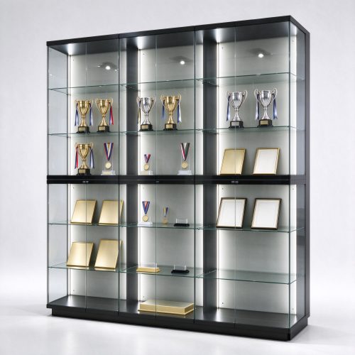 Black frame glass trophy display cabinet with trophy stands and medals, right 45 degree view